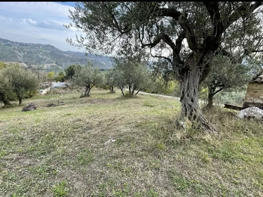Immagine 7 di Villa in vendita  a Bucchianico
