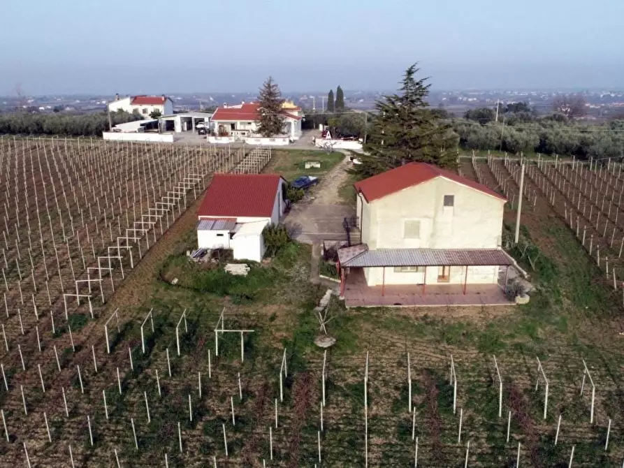 Immagine 1 di Villa in vendita  a Casalbordino