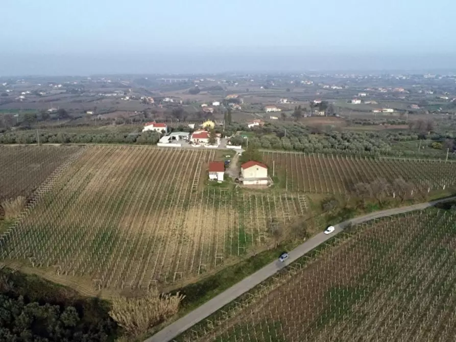 Immagine 8 di Villa in vendita  a Casalbordino