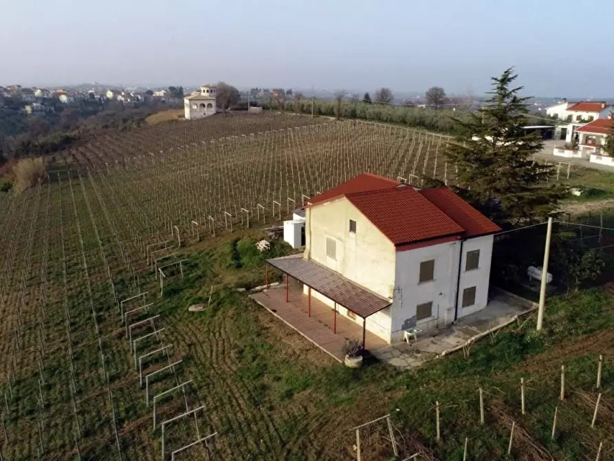 Immagine 3 di Villa in vendita  a Casalbordino