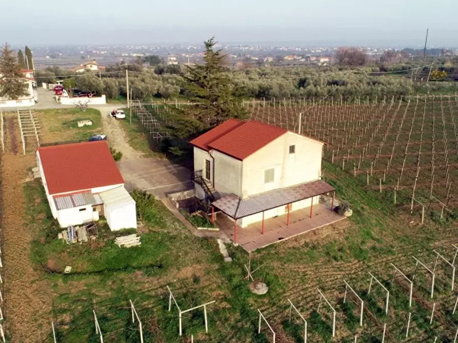Immagine 4 di Villa in vendita  a Casalbordino