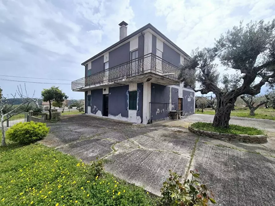 Immagine 9 di Villa in vendita  50 a Torrevecchia Teatina