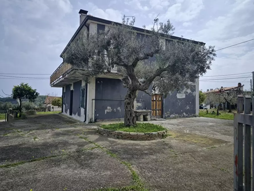 Immagine 8 di Villa in vendita  50 a Torrevecchia Teatina