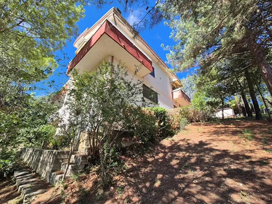 Immagine 6 di Villa in vendita  1 a Cugnoli