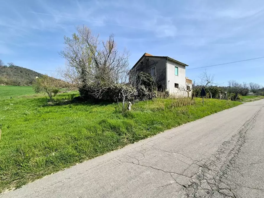 Immagine 3 di Villa in vendita  a Loreto Aprutino