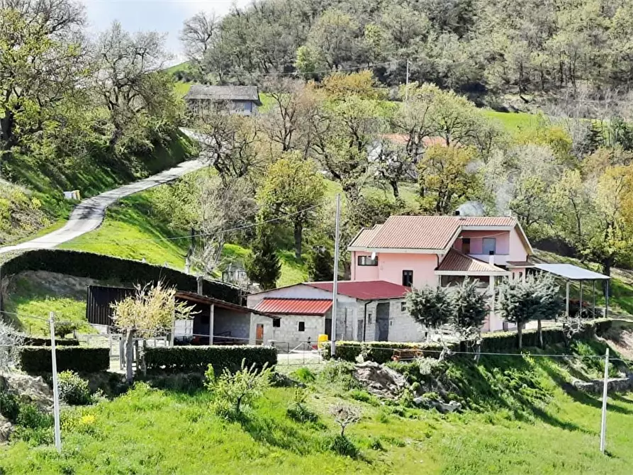 Immagine 1 di Villa in vendita  38 a Castiglione Messer Raimondo