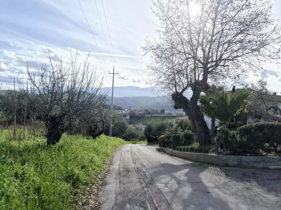 Immagine 8 di Villa in vendita  a Castilenti