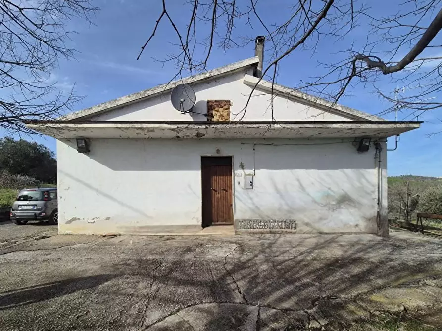 Immagine 3 di Villa in vendita  a Castilenti