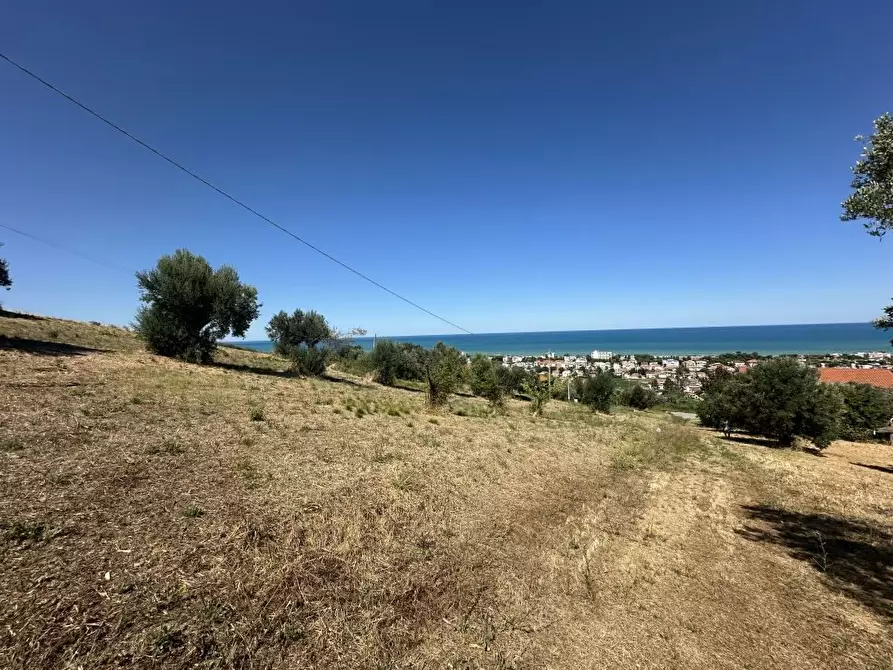 Immagine 7 di Villa in vendita  9 a Giulianova