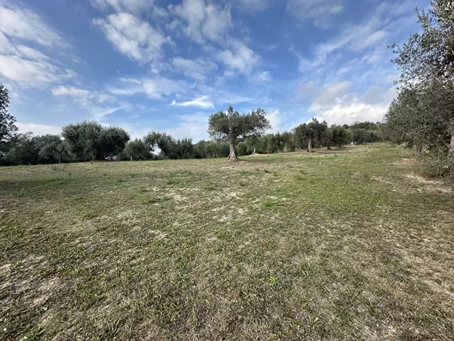 Immagine 10 di Villa in vendita  snc a Canzano