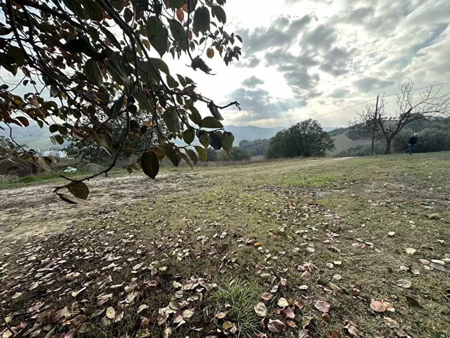 Immagine 8 di Villa in vendita  snc a Canzano
