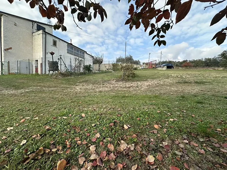 Immagine 2 di Villa in vendita  snc a Canzano