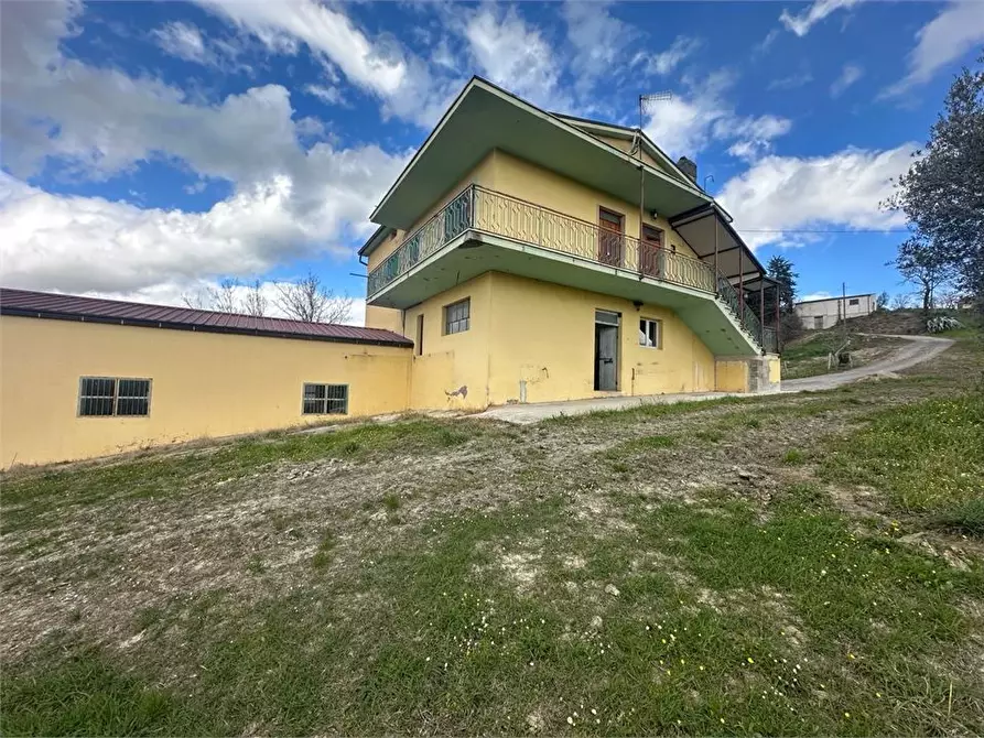 Immagine 2 di Villa in vendita  17 a Basciano