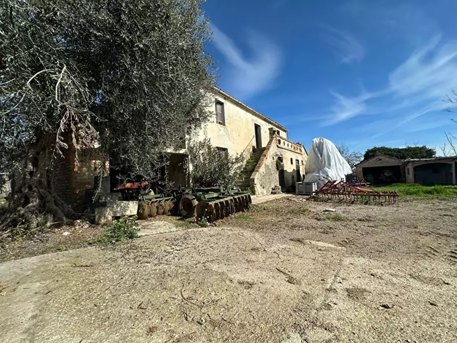 Immagine 5 di Rustico / casale in vendita  snc a Mosciano Sant'angelo