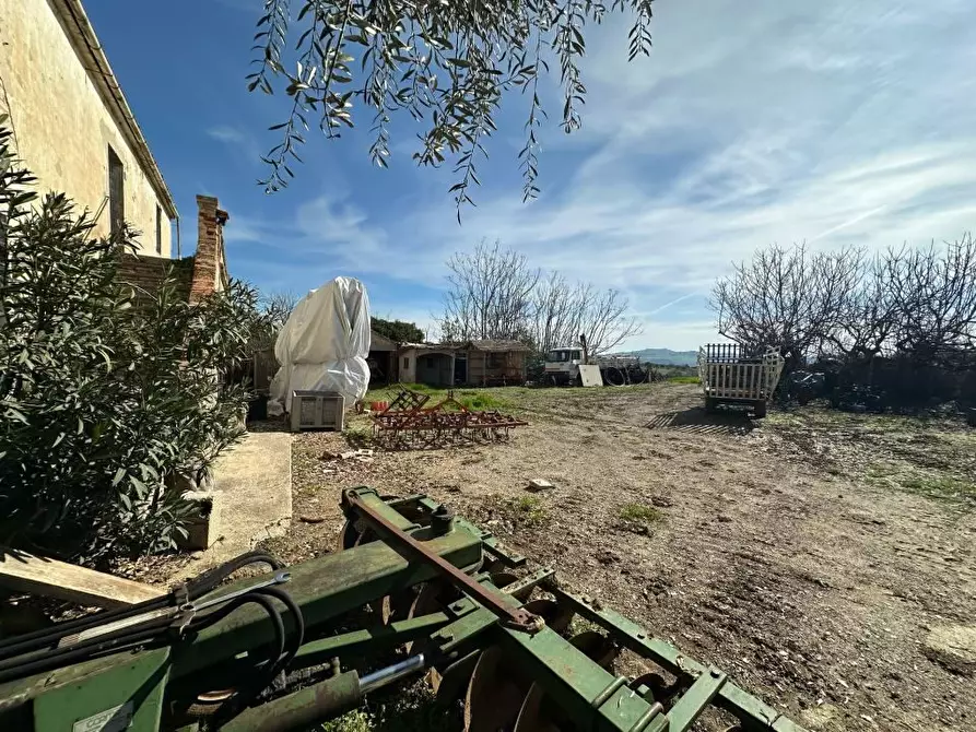 Immagine 9 di Rustico / casale in vendita  snc a Mosciano Sant'angelo