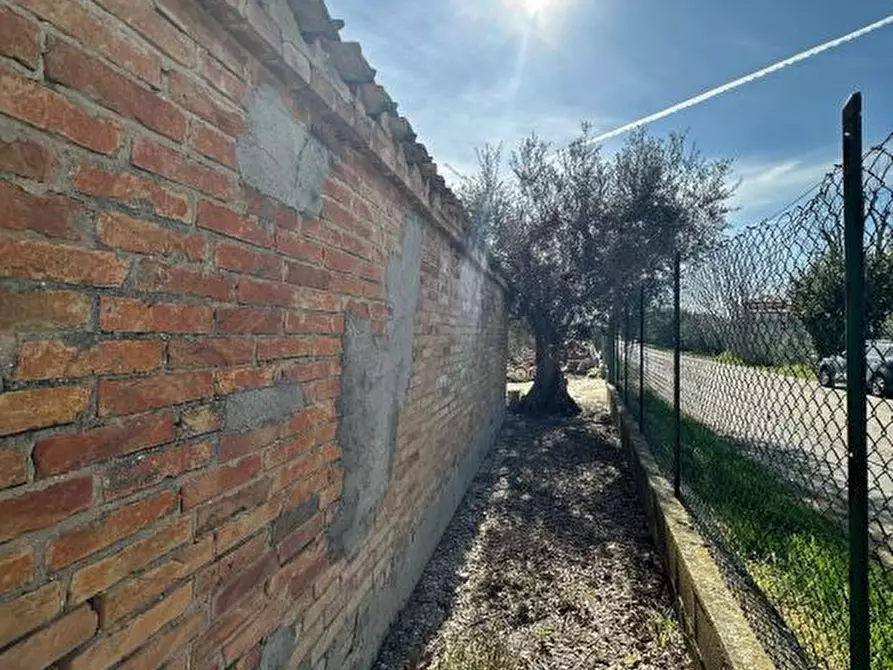 Immagine 6 di Rustico / casale in vendita  snc a Mosciano Sant'angelo