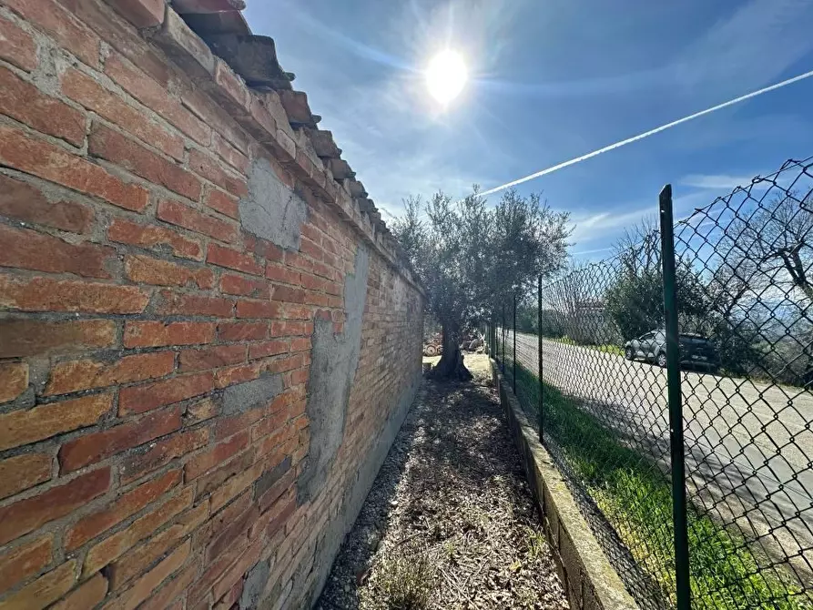 Immagine 7 di Rustico / casale in vendita  snc a Mosciano Sant'angelo