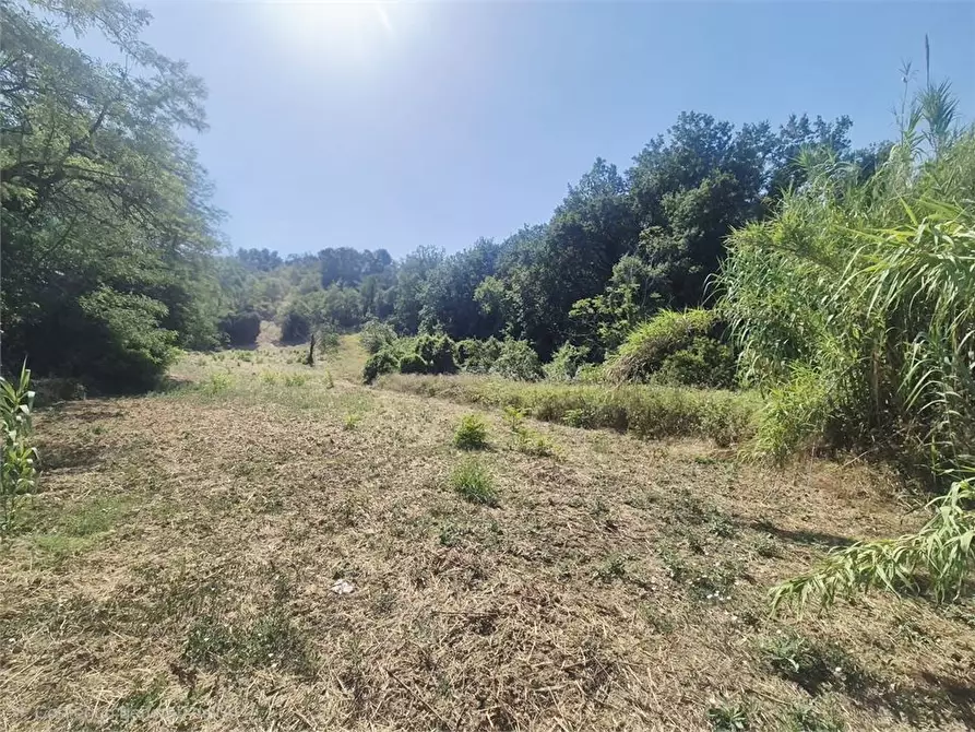 Immagine 4 di Terreno in vendita  a San Giovanni Teatino