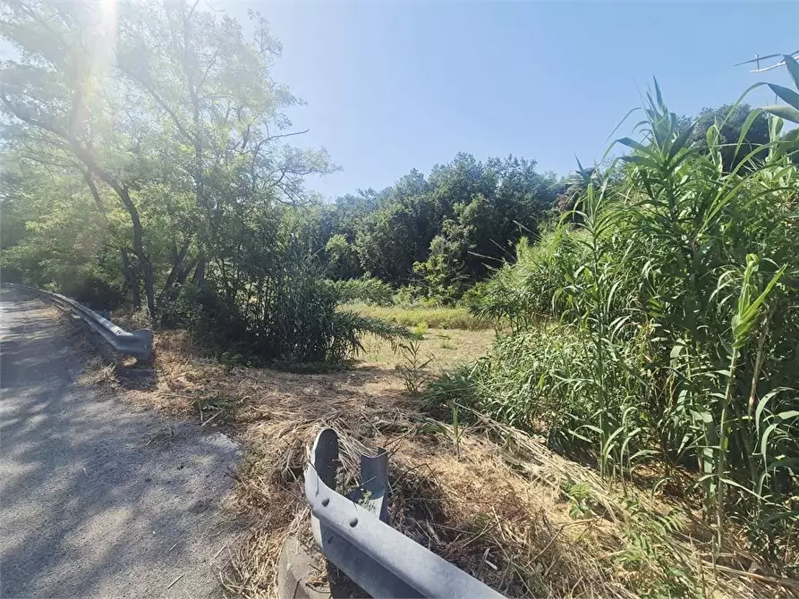Immagine 5 di Terreno in vendita  a San Giovanni Teatino