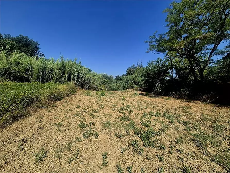 Immagine 2 di Terreno in vendita  a San Giovanni Teatino