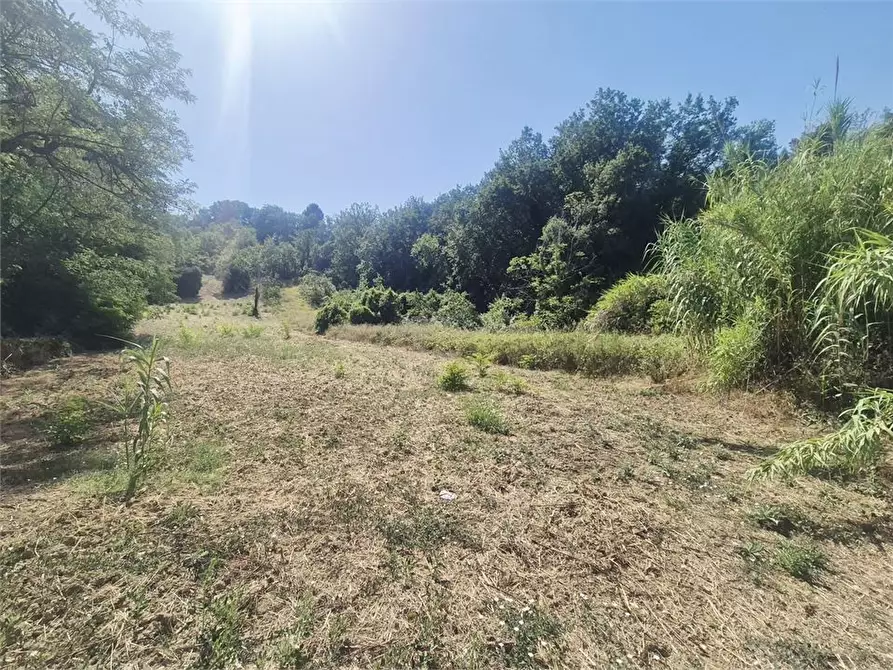 Immagine 3 di Terreno in vendita  a San Giovanni Teatino