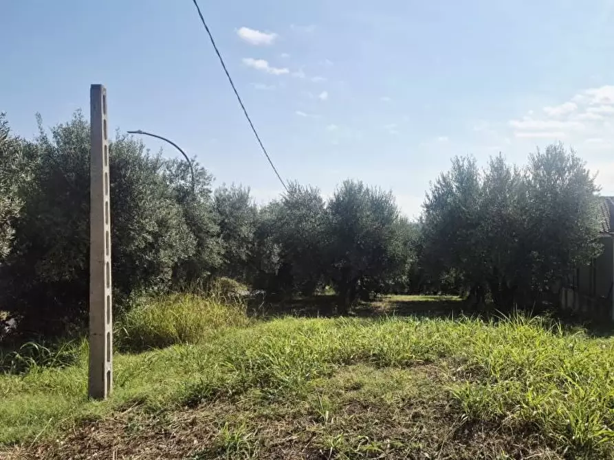 Immagine 1 di Terreno edificabile in vendita  a Torrevecchia Teatina