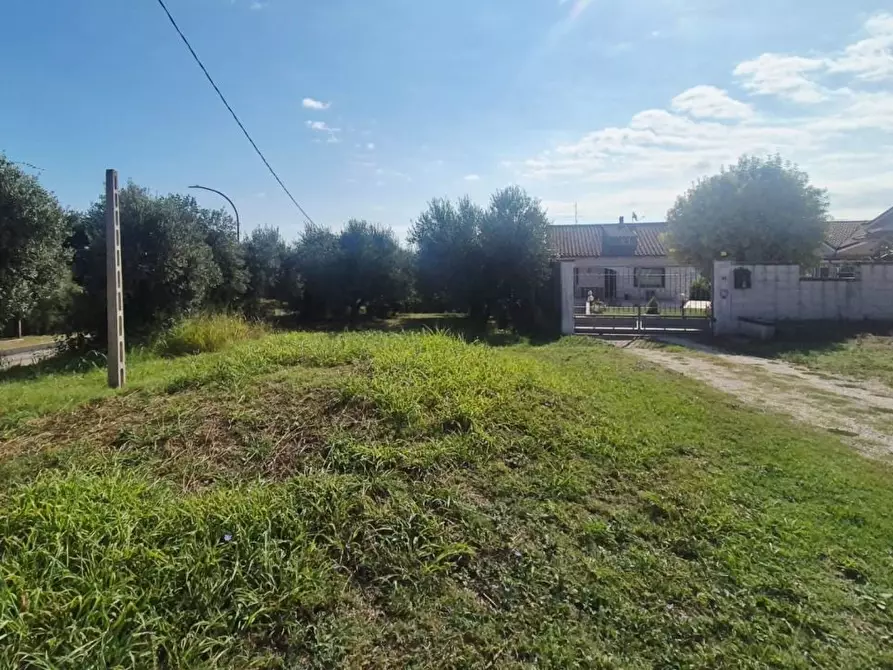 Immagine 5 di Terreno edificabile in vendita  a Torrevecchia Teatina