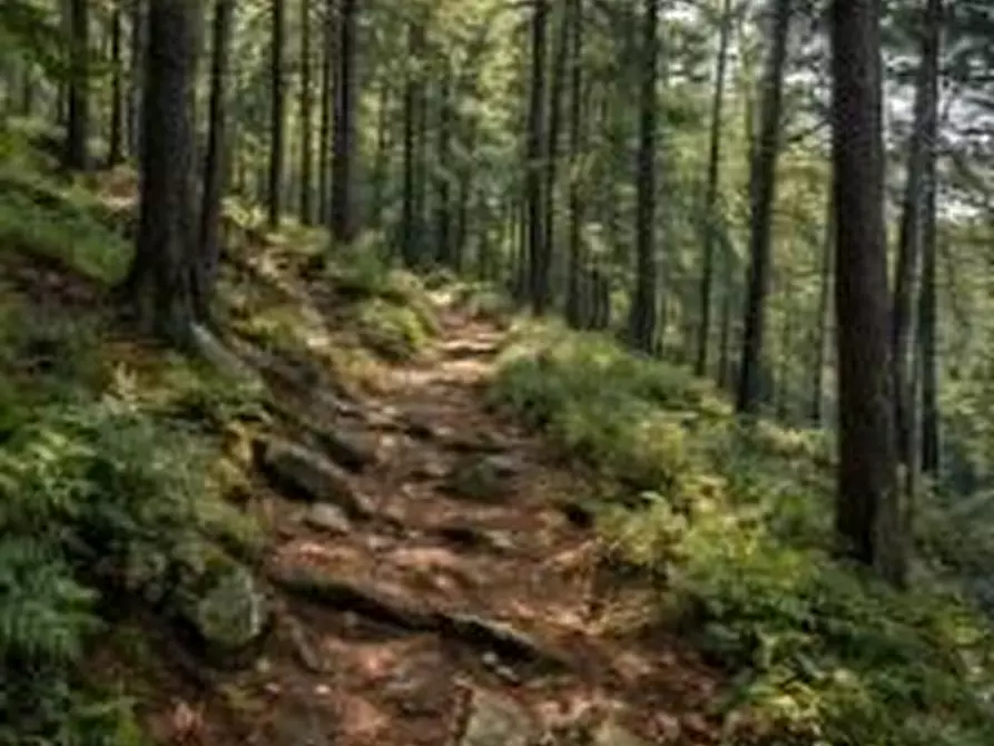 Immagine 1 di Terreno in vendita  a Tollo