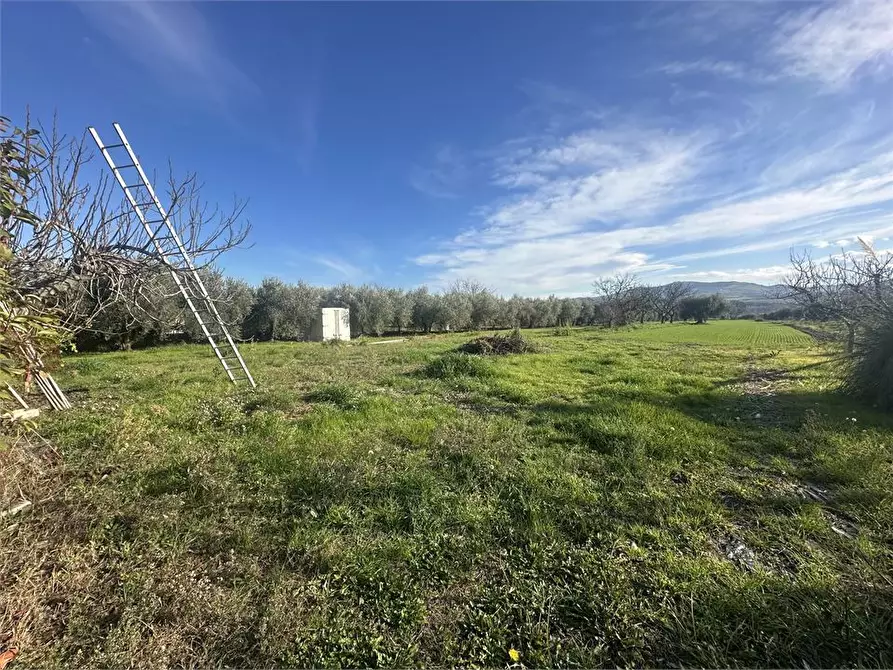 casa indipendente in vendita a Castellalto in zona Castelnuovo Vomano