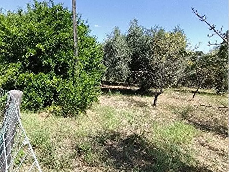 Immagine 10 di Terreno edificabile in vendita  a San Giovanni Teatino