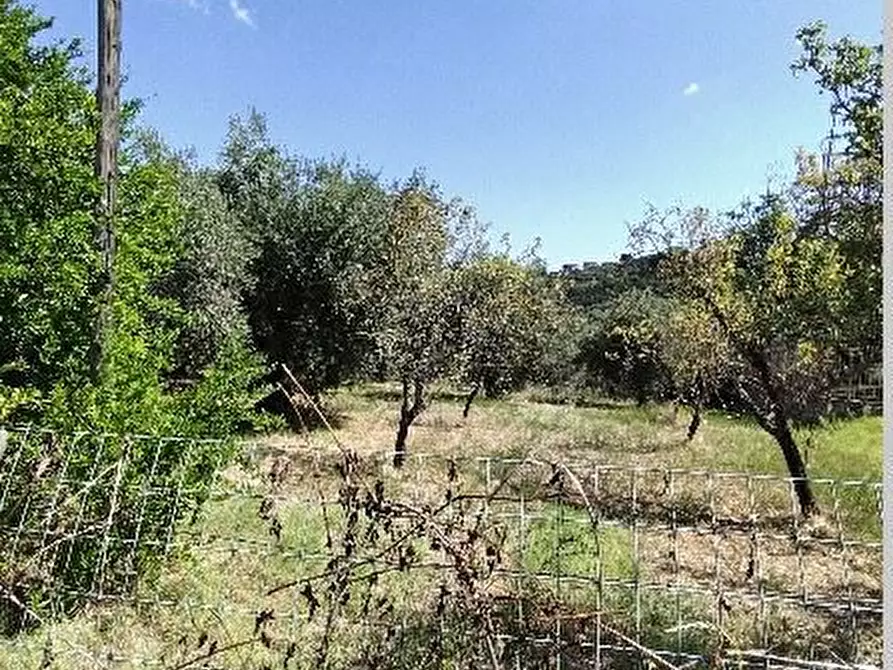 Immagine 4 di Terreno edificabile in vendita  a San Giovanni Teatino