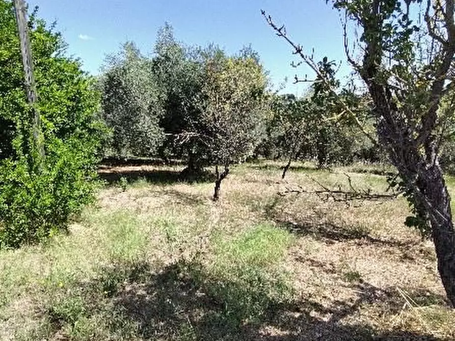 Immagine 5 di Terreno edificabile in vendita  a San Giovanni Teatino