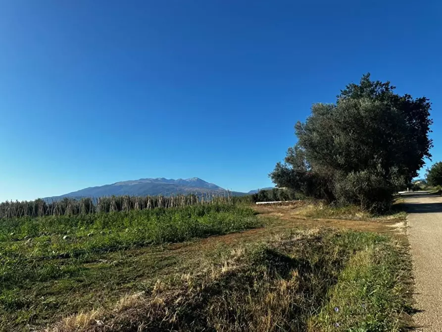 Immagine 5 di Terreno edificabile in vendita  a Rosciano