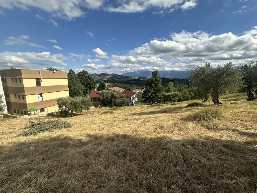 Immagine 2 di Terreno edificabile in vendita  a Torricella Sicura