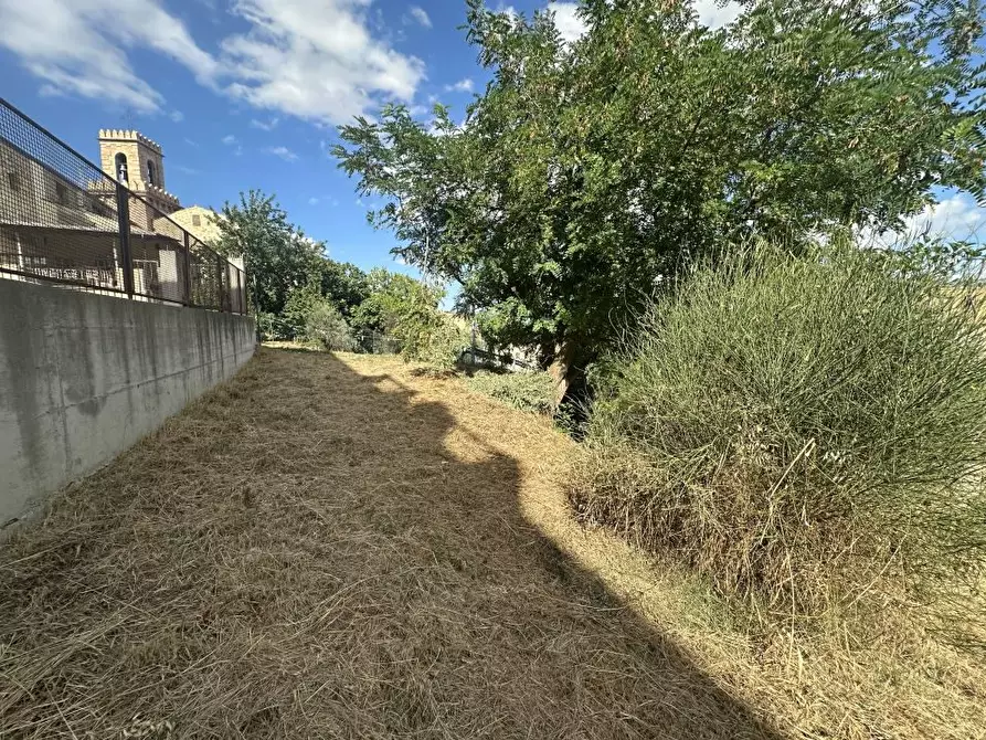 Immagine 9 di Terreno edificabile in vendita  a Torricella Sicura