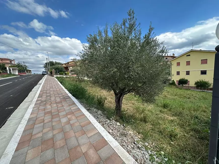 Immagine 3 di Terreno edificabile in vendita  64010 a Torricella Sicura