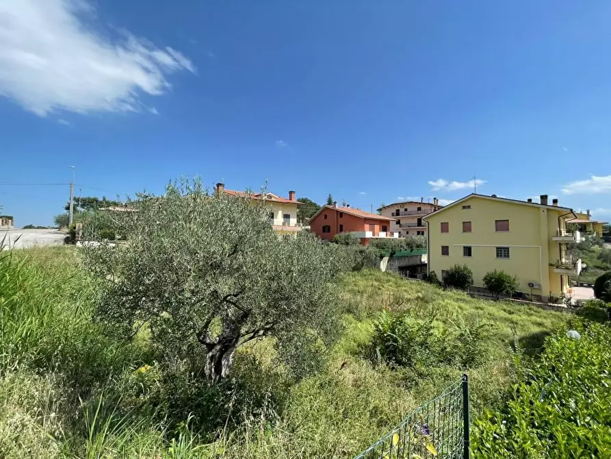 Immagine 2 di Terreno edificabile in vendita  64010 a Torricella Sicura