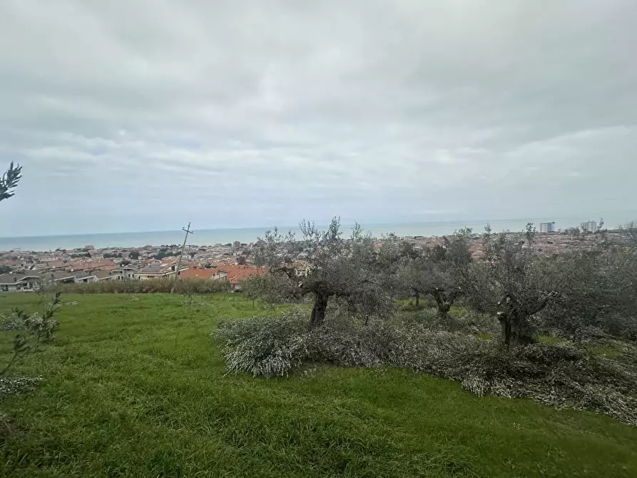 Immagine 7 di Terreno edificabile in vendita  a Silvi