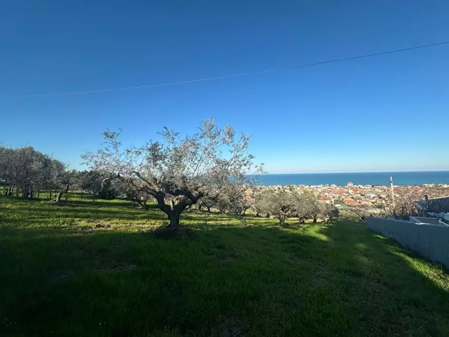 Immagine 1 di Terreno edificabile in vendita  a Silvi