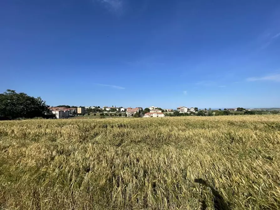 Immagine 9 di Terreno edificabile in vendita  a Mosciano Sant'angelo