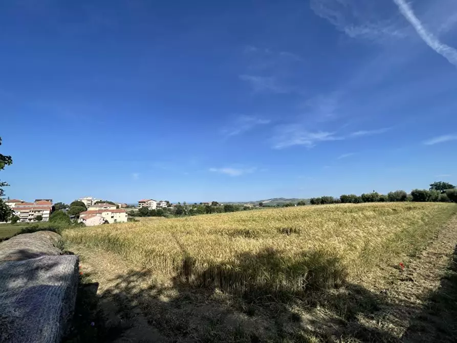 Immagine 1 di Terreno edificabile in vendita  a Mosciano Sant'angelo