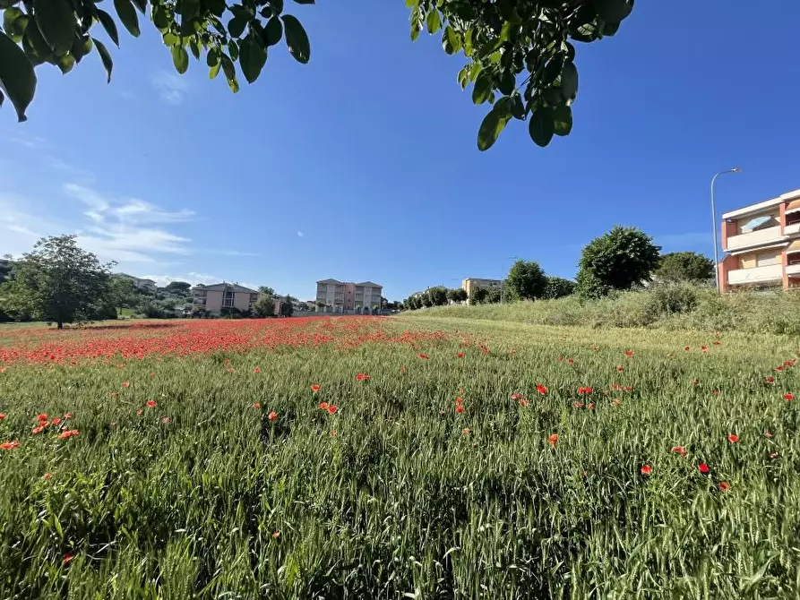 Immagine 1 di Terreno edificabile in vendita  a Mosciano Sant'angelo