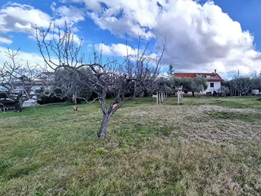 Immagine 10 di Villa in vendita  16 a Filetto