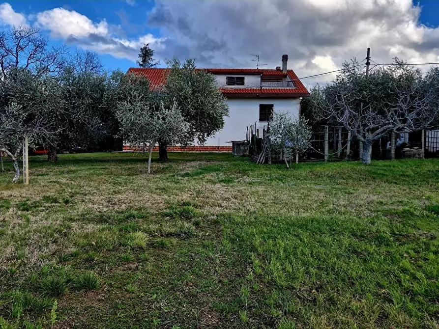 Immagine 9 di Villa in vendita  16 a Filetto