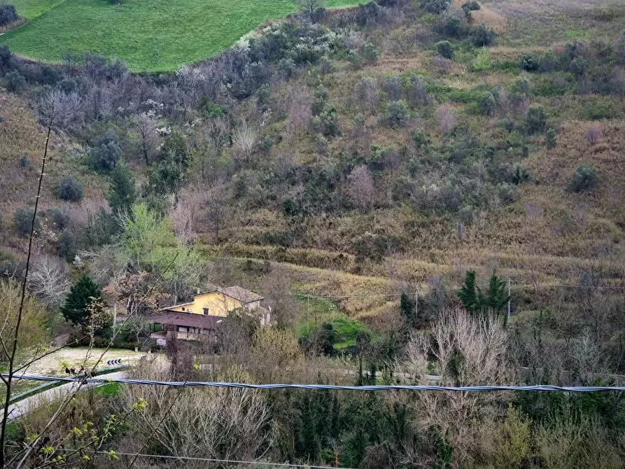 Immagine 2 di Villa in vendita  a Manoppello