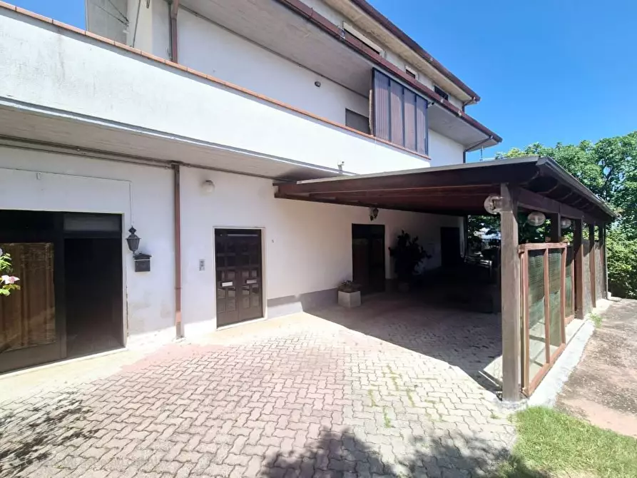 Immagine 5 di Villa in vendita  16 a Pietranico