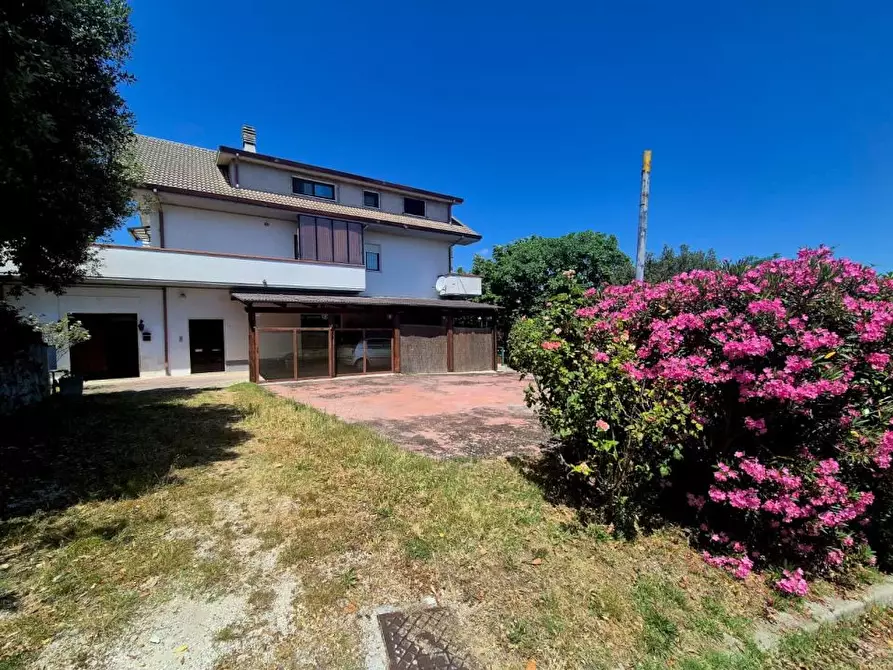 Immagine 3 di Villa in vendita  16 a Pietranico
