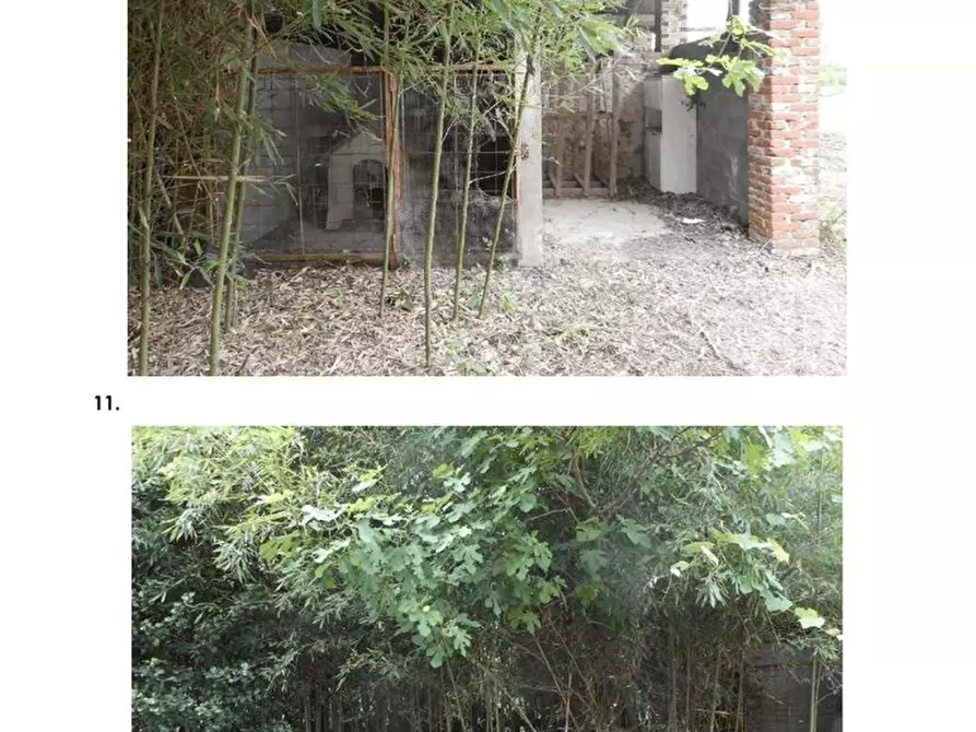 Immagine 10 di Villa in vendita  21 a Cavour
