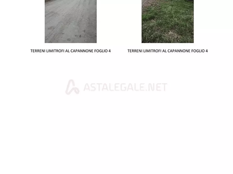 Immagine 8 di Negozio in vendita  1 a Brozolo
