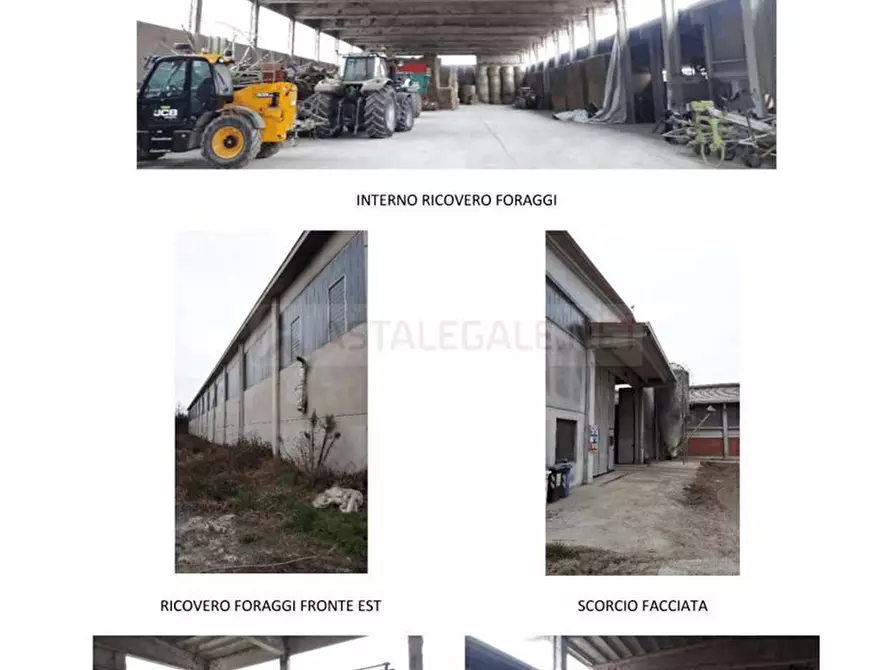 Immagine 5 di Negozio in vendita  1 a Brozolo